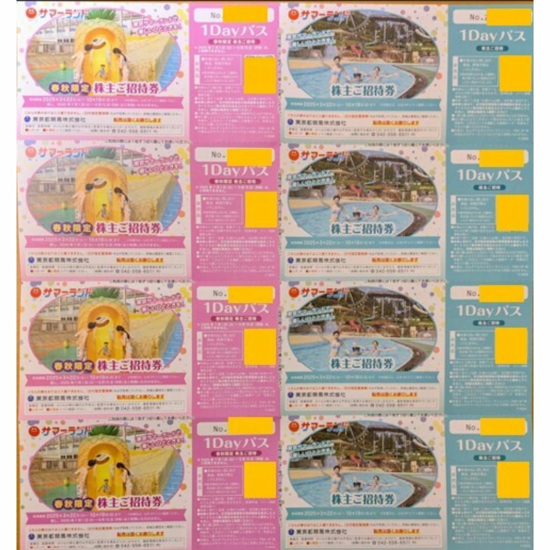 東京サマーランド 招待券 8枚 東京都競馬 株主優待 チケットの施設利用券(遊園地/テーマパーク)の商品写真