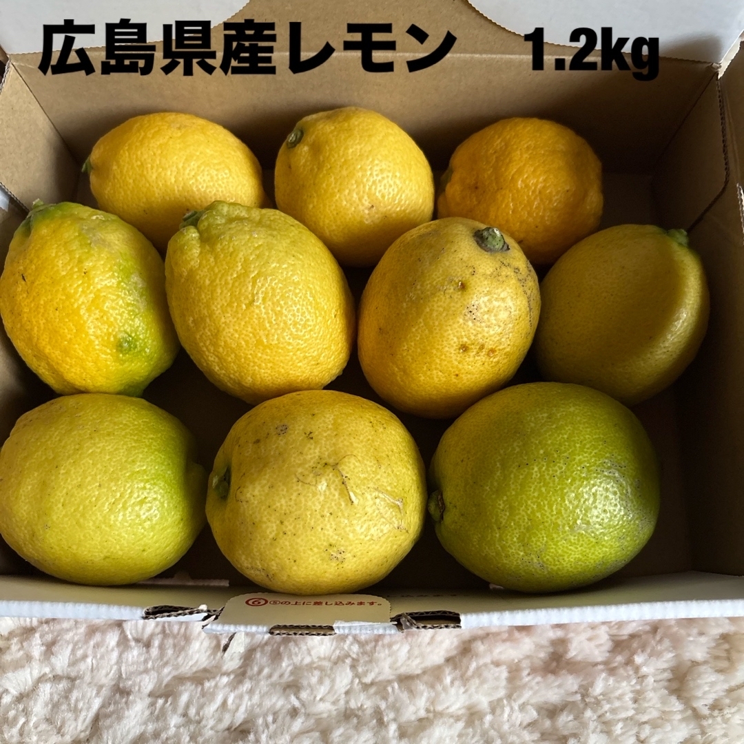 広島県産レモン 約1.2kg 無農薬 食品/飲料/酒の食品(フルーツ)の商品写真