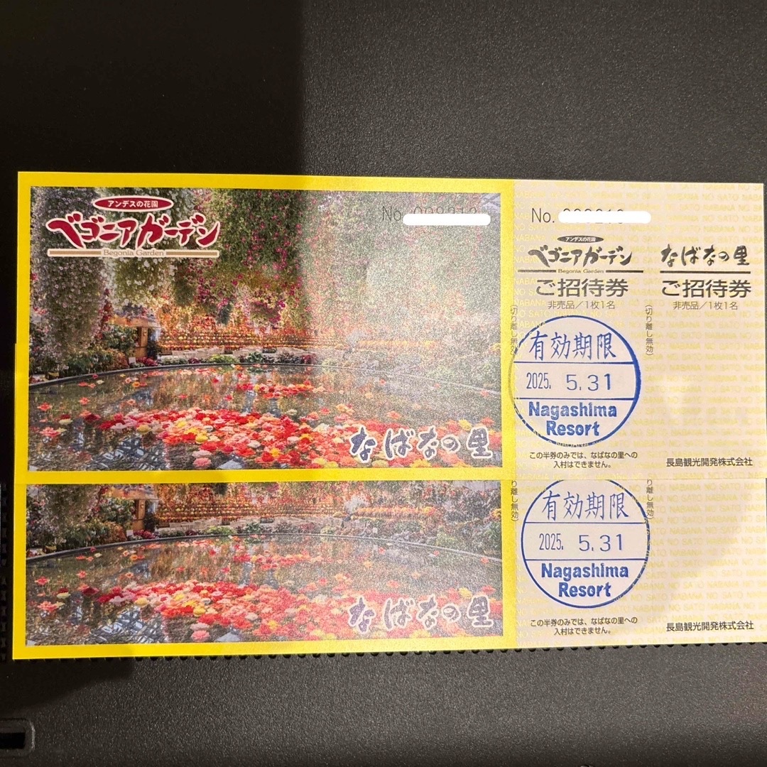なばなの里 ベゴニアガーデン ペア チケットの施設利用券(その他)の商品写真