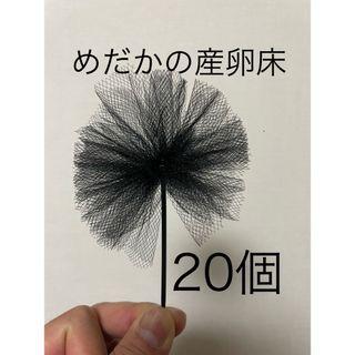 【めだか産卵床20個（チュール生地黒）の商品】(アクアリウム)