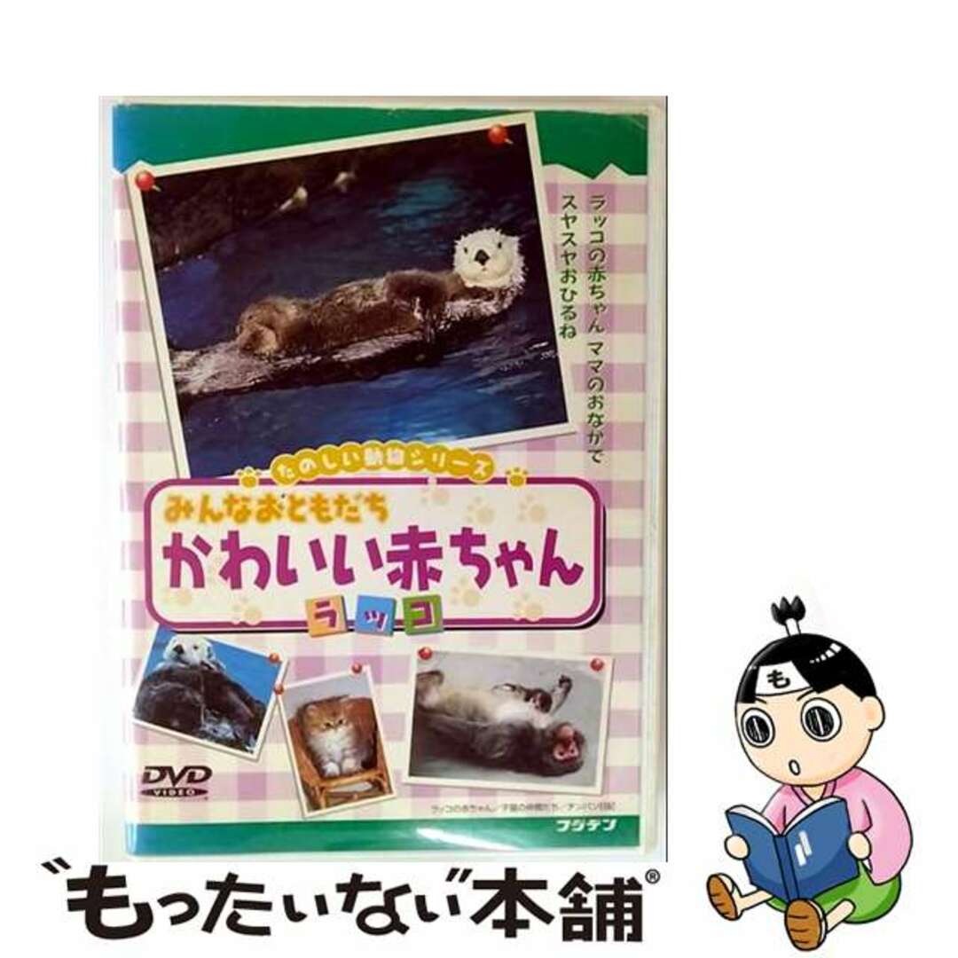 【中古】 みんな おともだち かわいい赤ちゃん ラッコ 動物 エンタメ/ホビーのDVD/ブルーレイ(キッズ/ファミリー)の商品写真