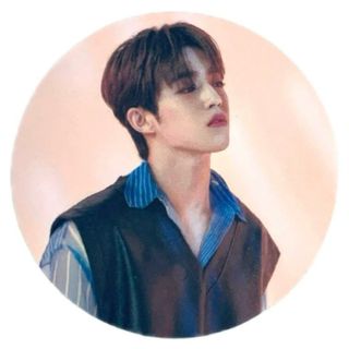 SEVENTEEN - SEVENTEEN FOLLOW AGAIN DVD ユニバ特典 ポスト SEVENTEEN - SEVENTEEN FOLLOW AGAIN DVD ユニバ特典 ポスト