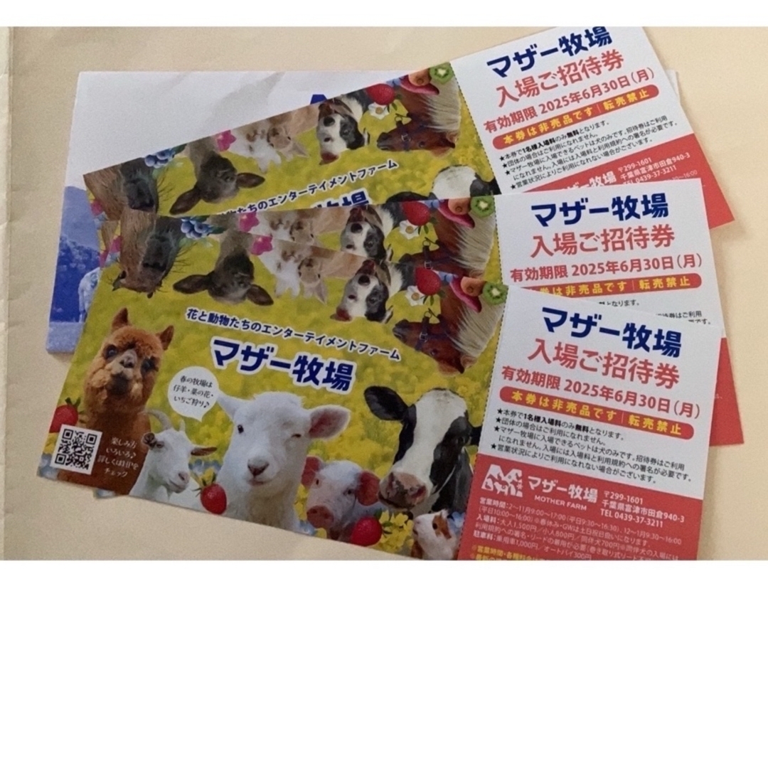 マザー牧場招待券3枚組 チケットの施設利用券(遊園地/テーマパーク)の商品写真
