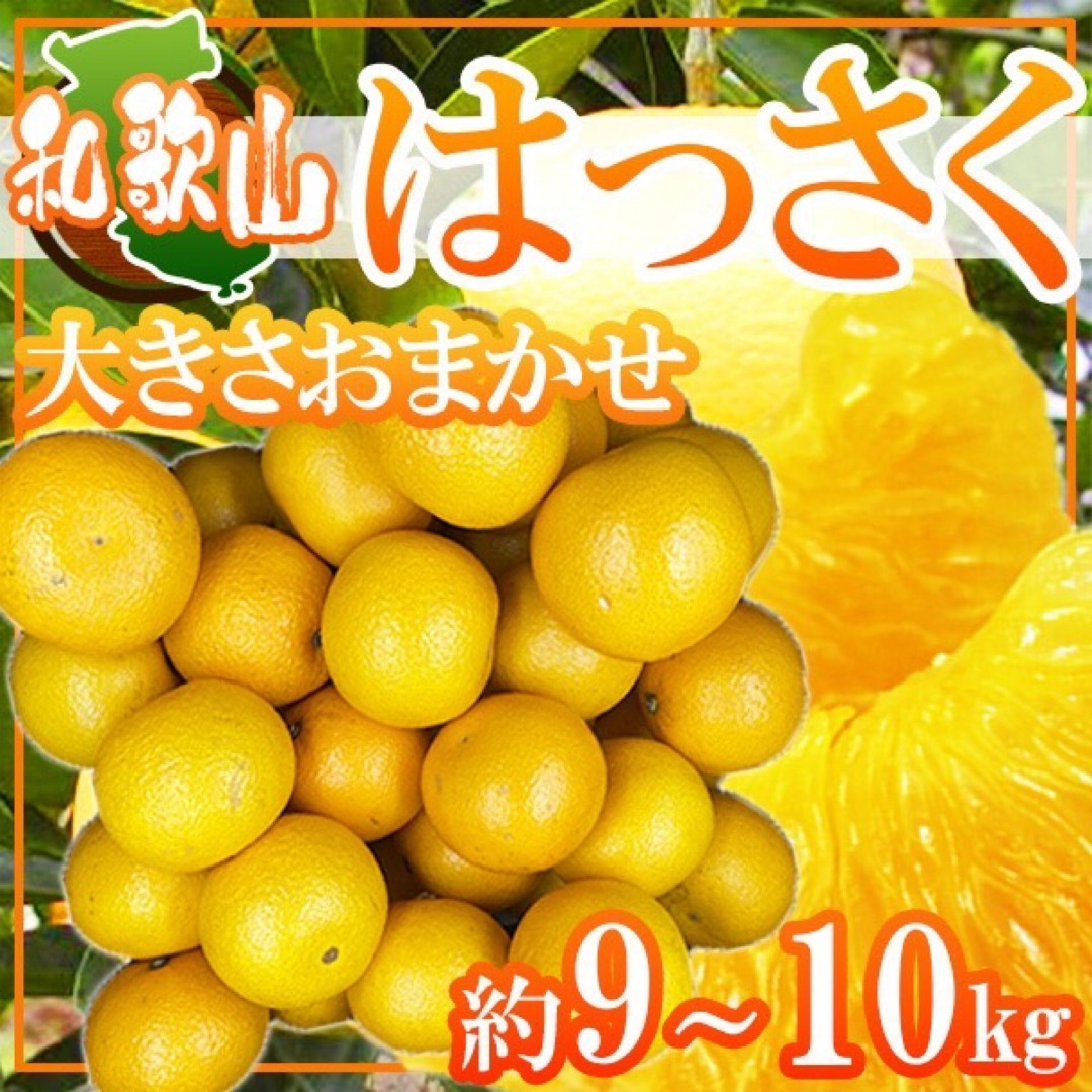 和歌山県産 訳ありはっさく 大きさおまかせ 約9〜10kg 焼け・傷・しわあり 食品/飲料/酒の食品(フルーツ)の商品写真