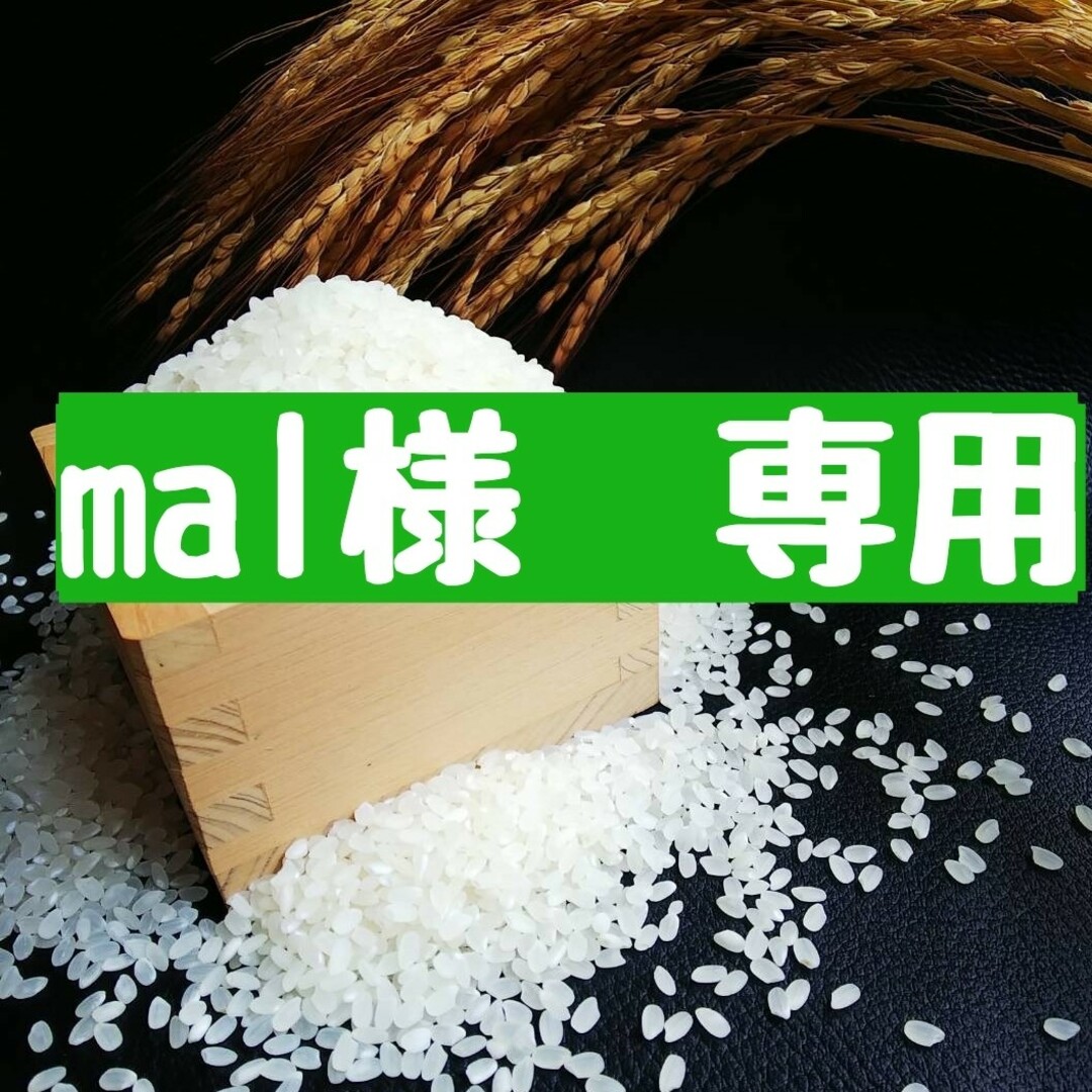 こだわり農家の自慢米 白米10㎏(無農薬栽培) 令和6年産 食品/飲料/酒の食品(米/穀物)の商品写真
