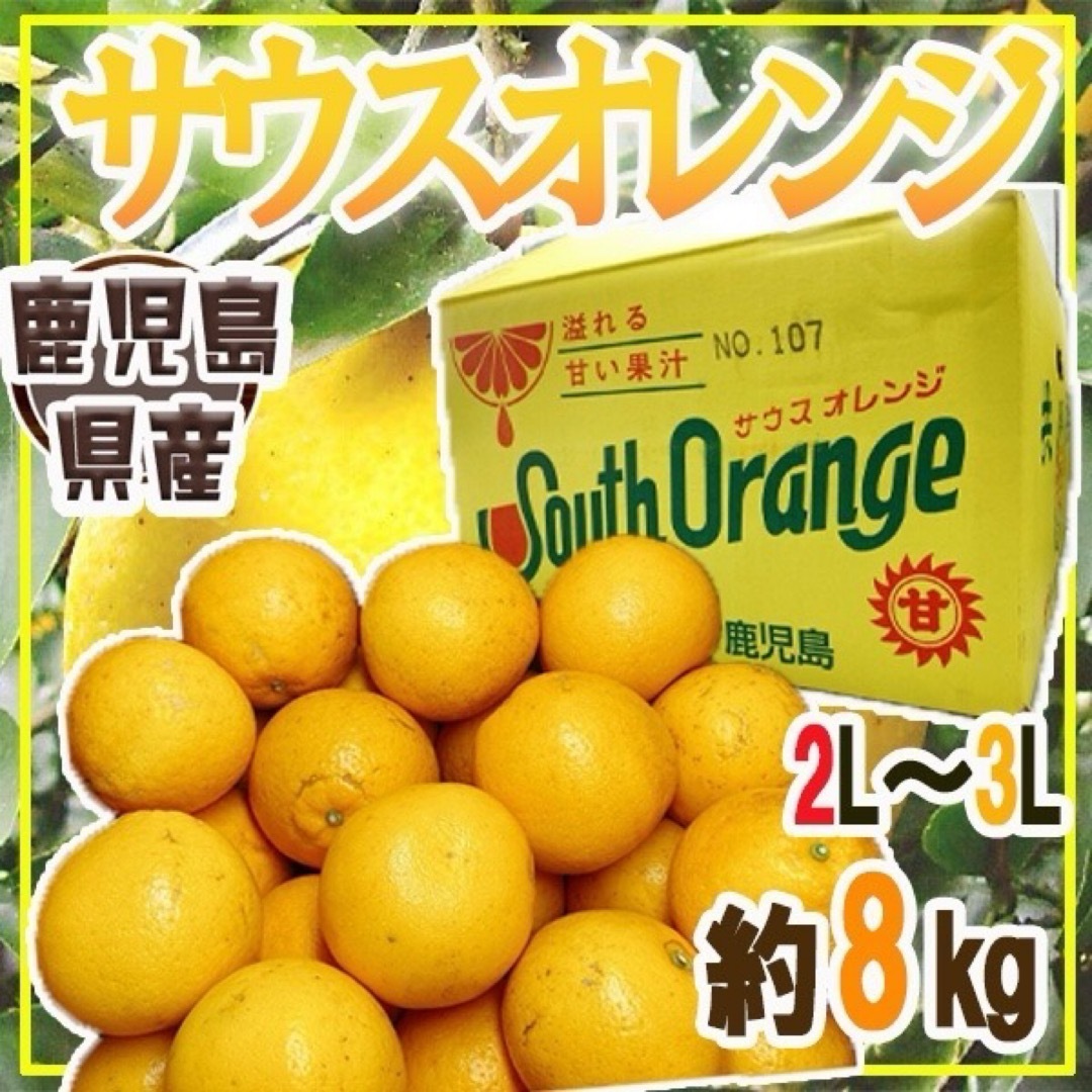 鹿児島県産 サウスオレンジ 2L〜3L 約8kg 食品/飲料/酒の食品(フルーツ)の商品写真