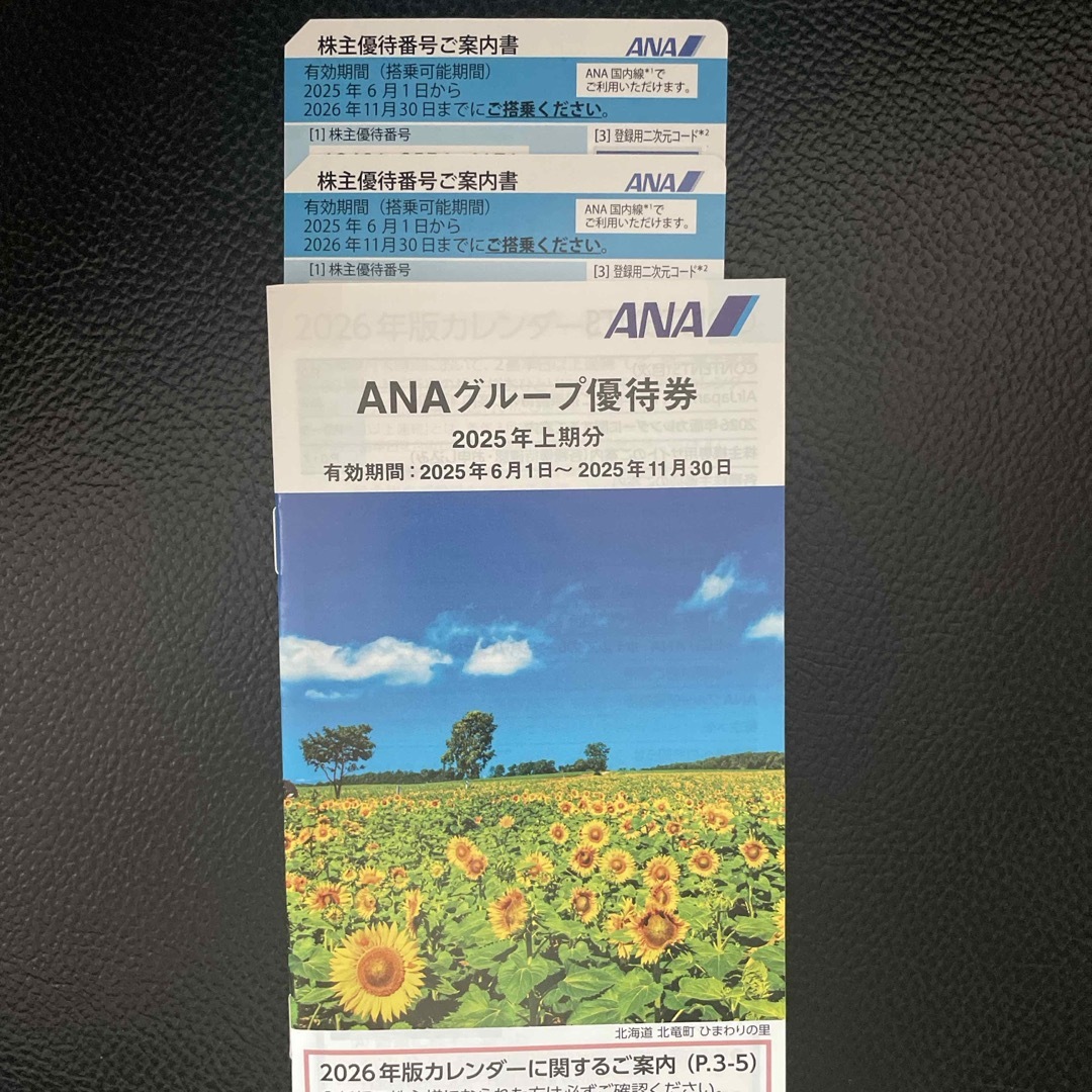 ANA(全日本空輸)(エーエヌエー(ゼンニッポンクウユ))のANA 株主優待券 2枚 全日空 クーポン チケットの優待券/割引券(その他)の商品写真