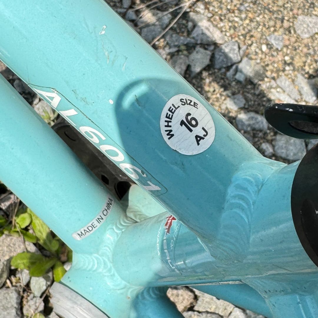 65%OFF【送料無料】 - GARNEAU LOUIS LOUIS 水色の 16インチ 子供用自転車 GARNEAU 自転車本体