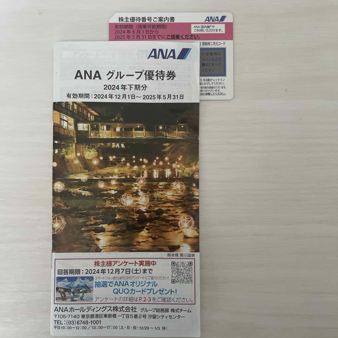 ANA(全日本空輸)(エーエヌエー(ゼンニッポンクウユ))のANA 株主優待 チケットの乗車券/交通券(航空券)の商品写真