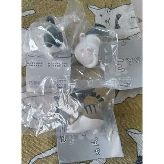怒った猫ちゃあぁぁん3　3種(その他)