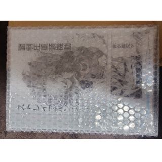 集英社 - 非売品 複製サイン色紙 D.Gray-man アレン ティム