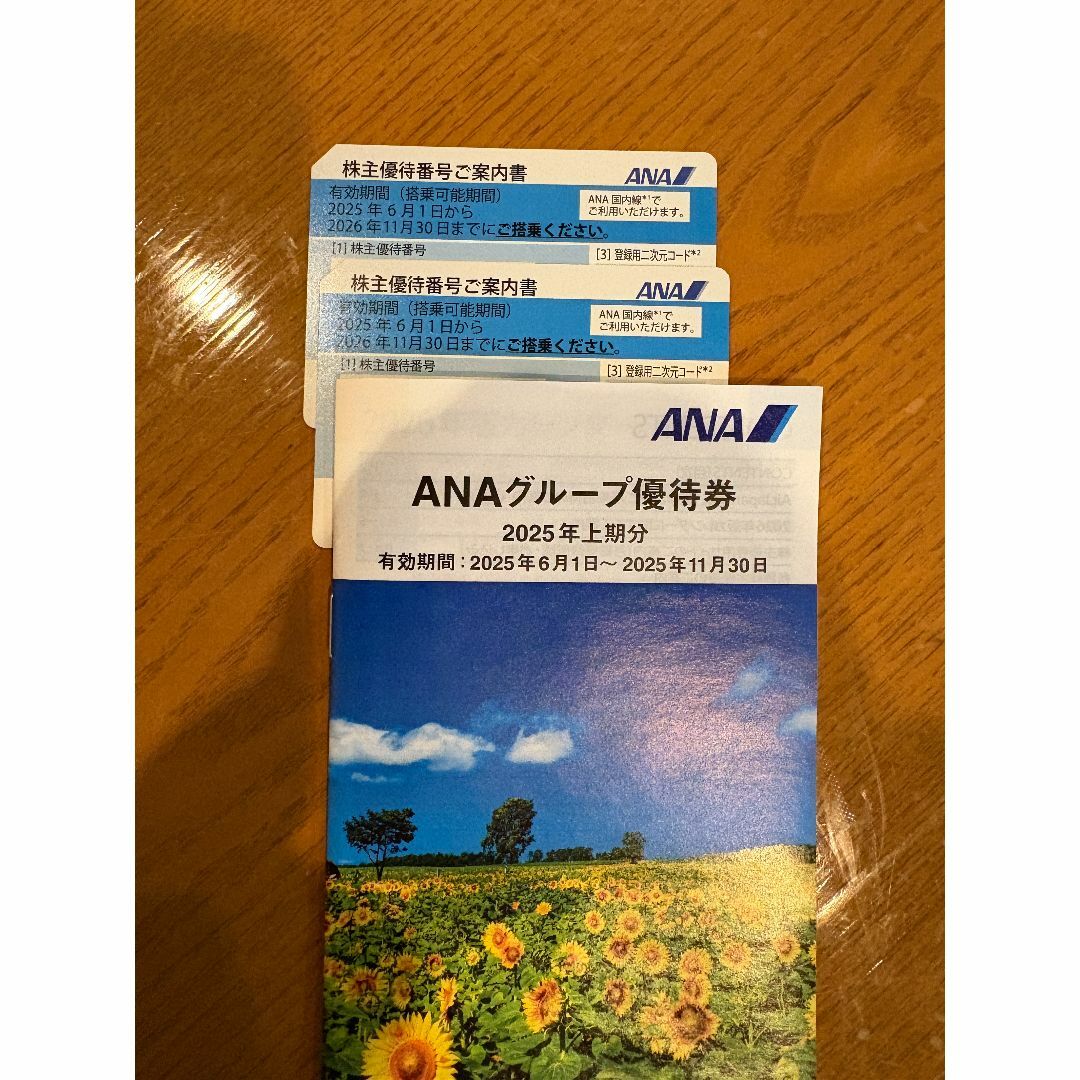 ANAの株主優待券2枚と グループ優待券1冊のセット チケットのチケット その他(その他)の商品写真