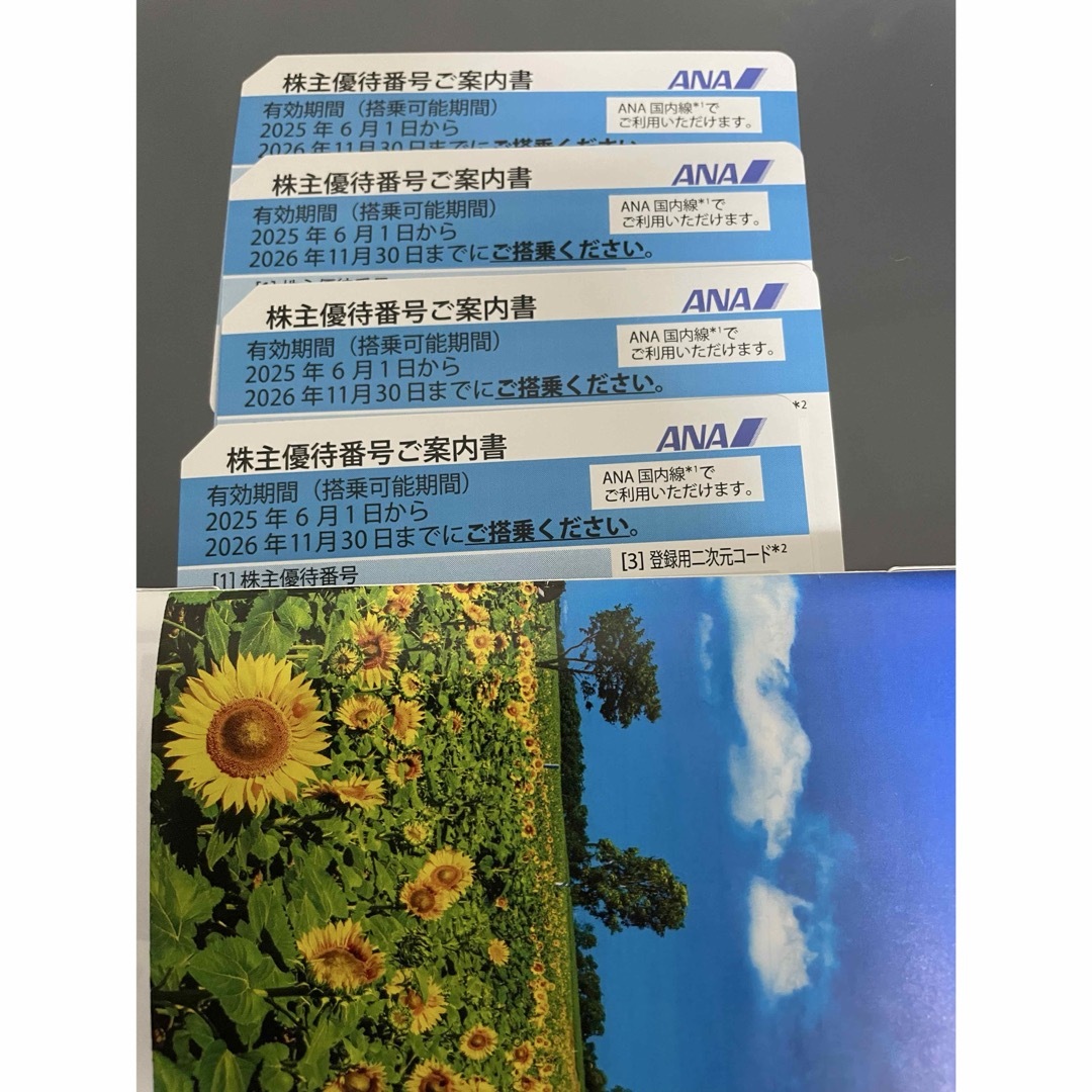 ANA(全日本空輸)(エーエヌエー(ゼンニッポンクウユ))のANA 株主優待券 4枚 チケットの優待券/割引券(その他)の商品写真