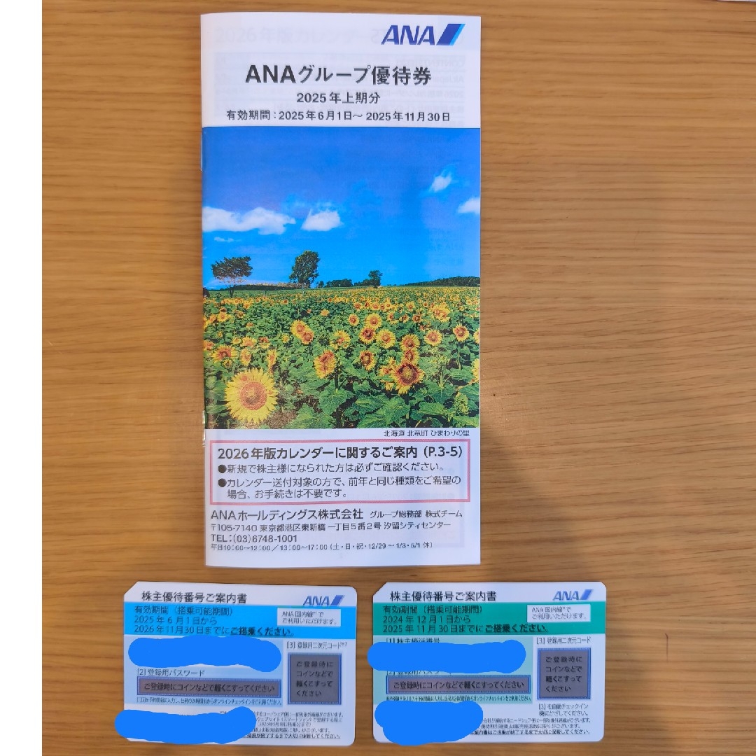 ANA(全日本空輸)(エーエヌエー(ゼンニッポンクウユ))のANA株主優待券2枚とグループ優待券冊子1冊 チケットの優待券/割引券(その他)の商品写真