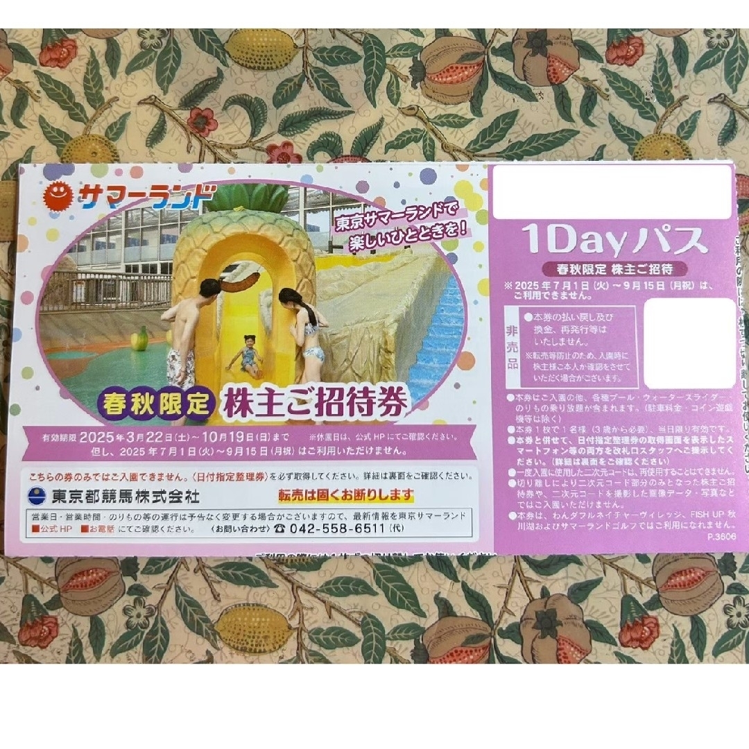 サマーランド株主優待☆春秋限定1Dayパス4枚 チケットの施設利用券(プール)の商品写真