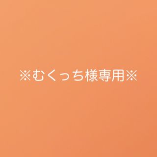 ファッション特集 すばる堂 ミニ四駆ダッシュ ぜんまい内蔵 プルバック 食玩 ミニ四駆