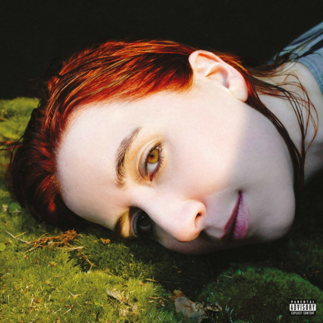 輸入LP Austra Hirudin WIGLP440 Domino /00260 エンタメ/ホビーのエンタメ その他(その他)の商品写真