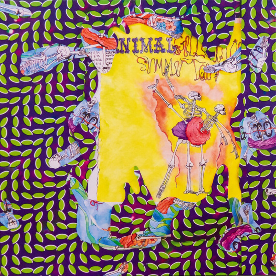 その他 2LP Animal Collective Ballet Slippers WIGLP462 Domino /00520