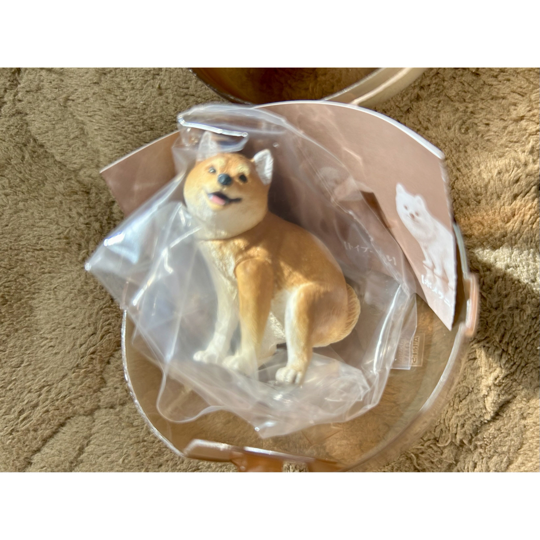 T-ARTS(タカラトミーアーツ)のふんばり〜ぬ ふんばりーぬ 柴犬 エンタメ/ホビーのおもちゃ/ぬいぐるみ(キャラクターグッズ)の商品写真