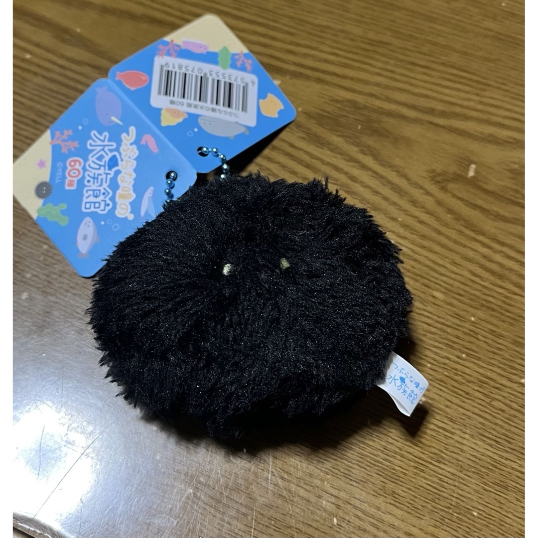 つぶらな瞳 うに ウニ ぬいぐるみ マスコット 水族館 エンタメ/ホビーのおもちゃ/ぬいぐるみ(キャラクターグッズ)の商品写真