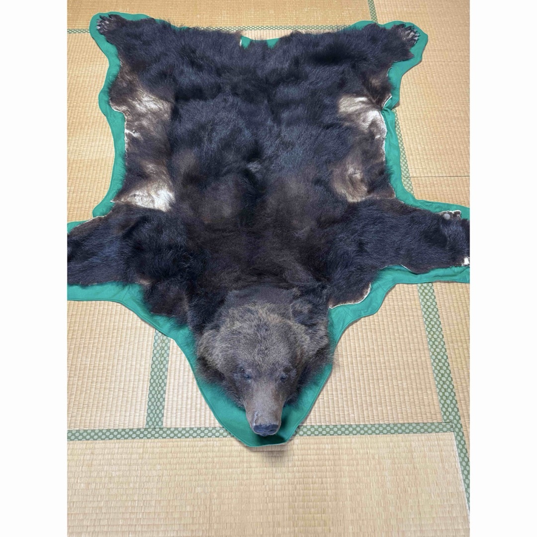 ヒグマ 剥製 敷物 毛皮 ラグ｜Yahoo!フリマ（旧PayPayフリマ）