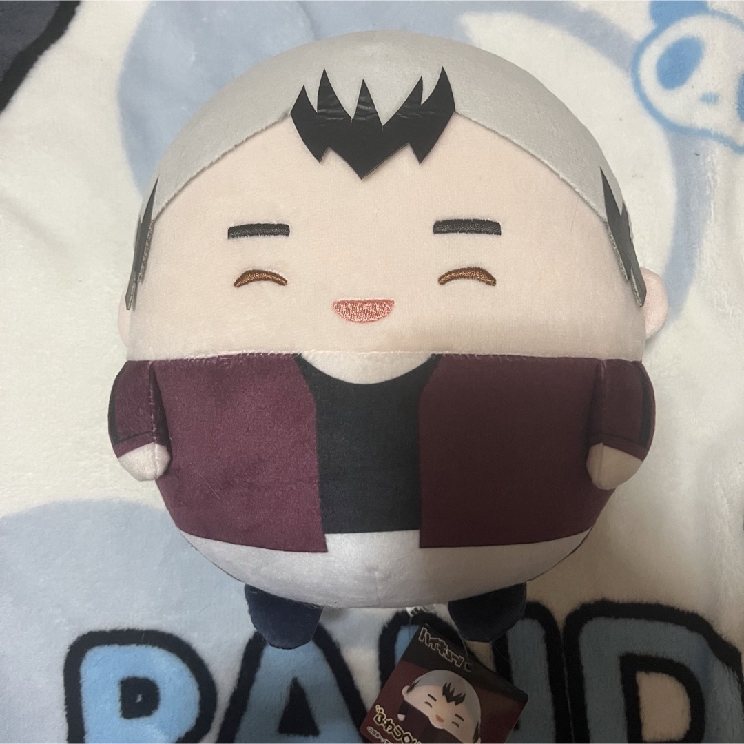北信介 ふわコロりん Mサイズ エンタメ/ホビーのおもちゃ/ぬいぐるみ(ぬいぐるみ)の商品写真