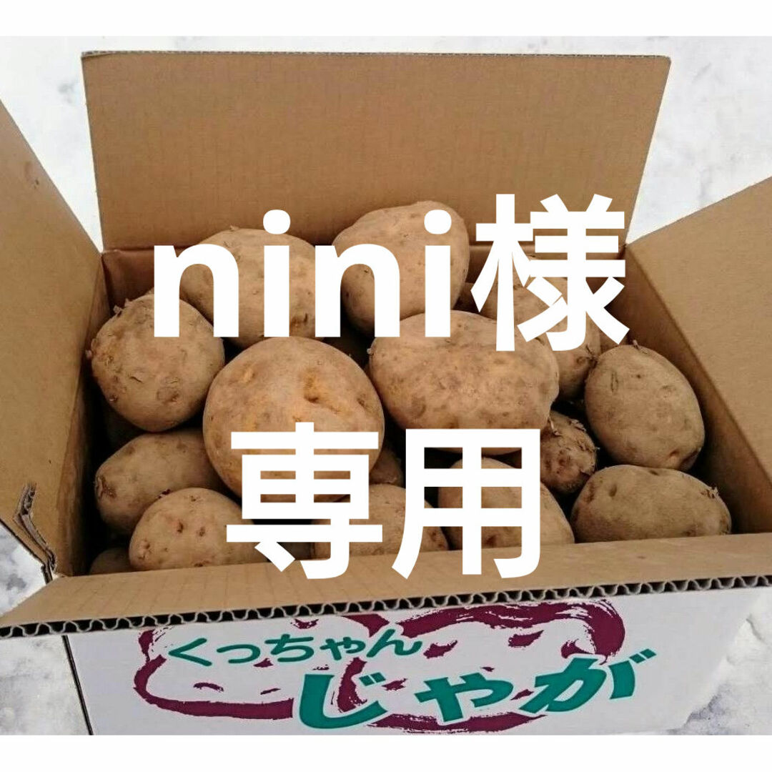 nini様 専用 食品/飲料/酒の食品(野菜)の商品写真