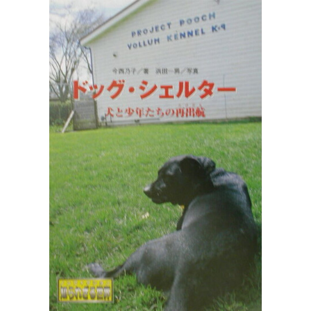 ドッグ・シェルタ- 犬と少年たちの再出航 /金の星社/今西乃子(単行本) エンタメ/ホビーの本(絵本/児童書)の商品写真