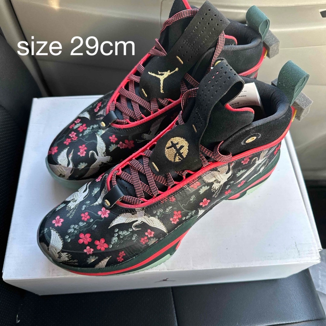 Jordan Brand(NIKE)(ジョーダン)のAIR JORDAN XXXVI RUI PF メンズの靴/シューズ(スニーカー)の商品写真