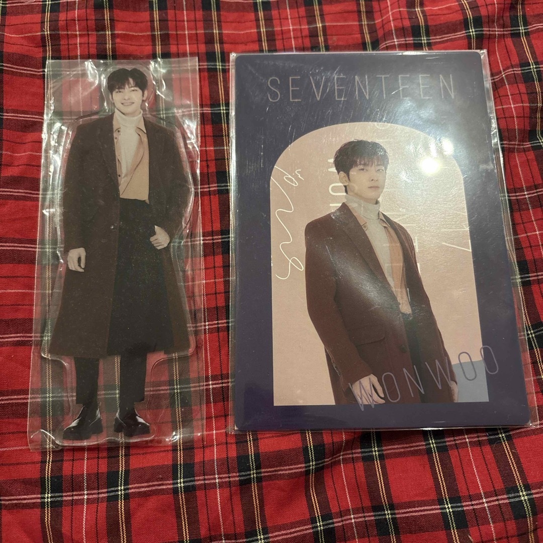 SEVENTEEN(セブンティーン)のSEVENTEEN ウォヌ 一番くじ エンタメ/ホビーのタレントグッズ(アイドルグッズ)の商品写真