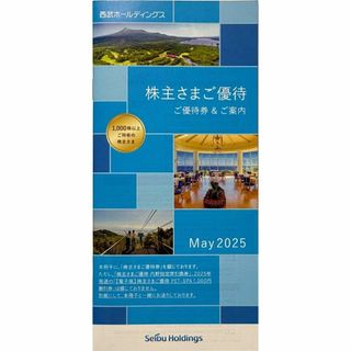 西武ホールディングス 株主優待券(その他)