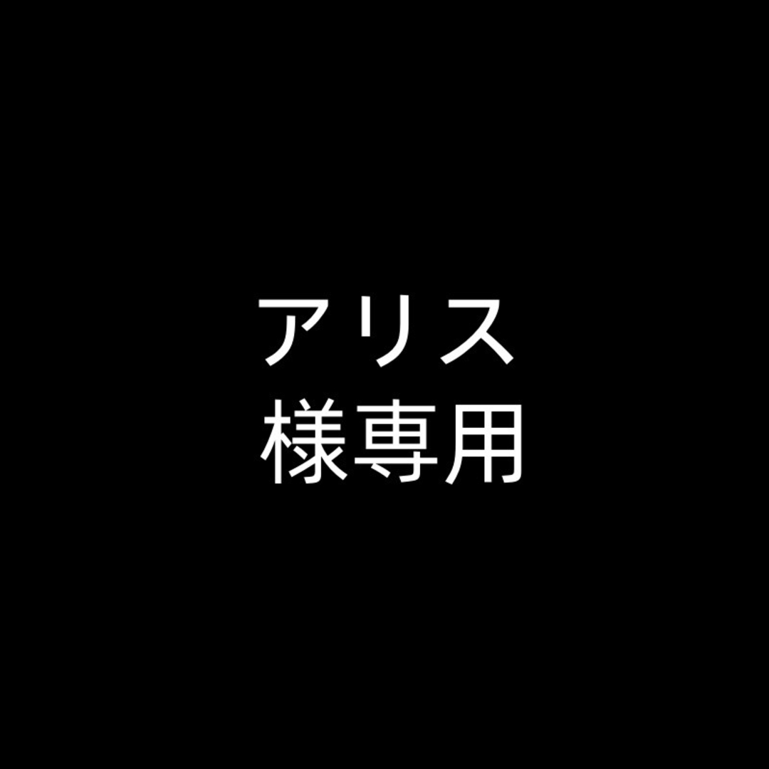 アリス様専用 エンタメ/ホビーのおもちゃ/ぬいぐるみ(キャラクターグッズ)の商品写真