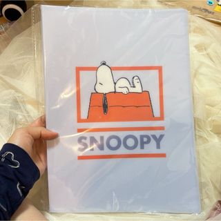 スヌーピー(SNOOPY)のワッツ　スヌーピー　クリアファイル(クリアファイル)