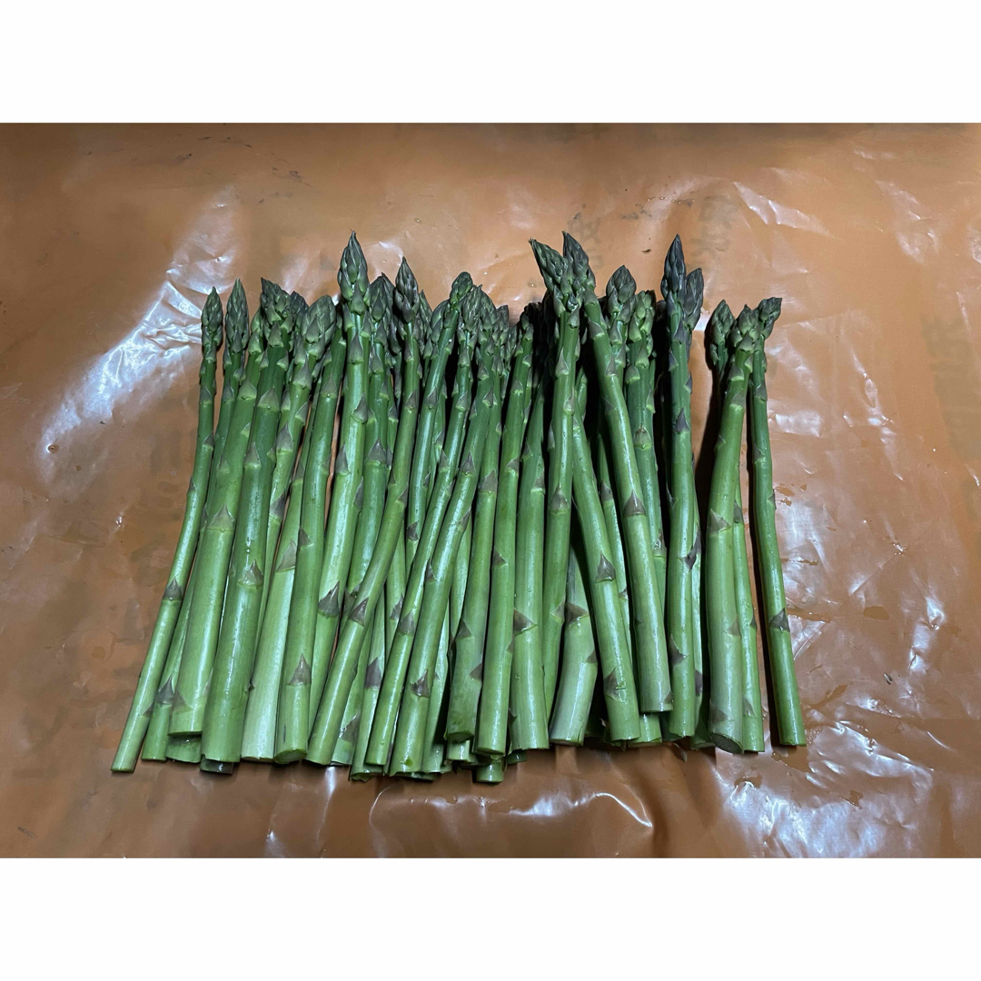 北海道産 アスパラ 1キロ 食品/飲料/酒の食品(野菜)の商品写真
