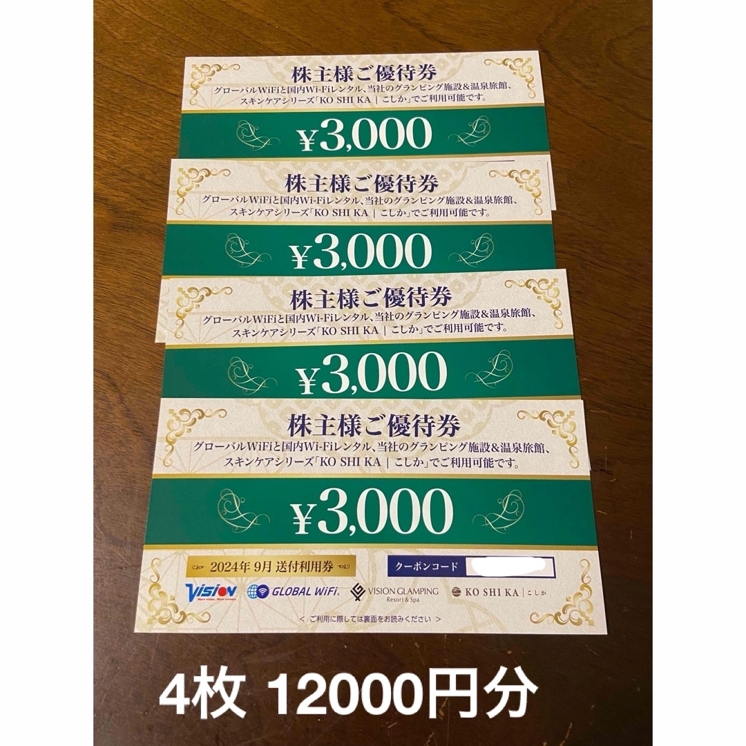 ビジョン 株主優待 12000円 チケットの優待券/割引券(その他)の商品写真