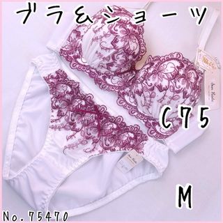 Wacoal - 【新品】wacoal サルート 96 ブラ ソング ガーター Wacoal - 【新品】wacoal サルート 96 ブラ ソング ガーター