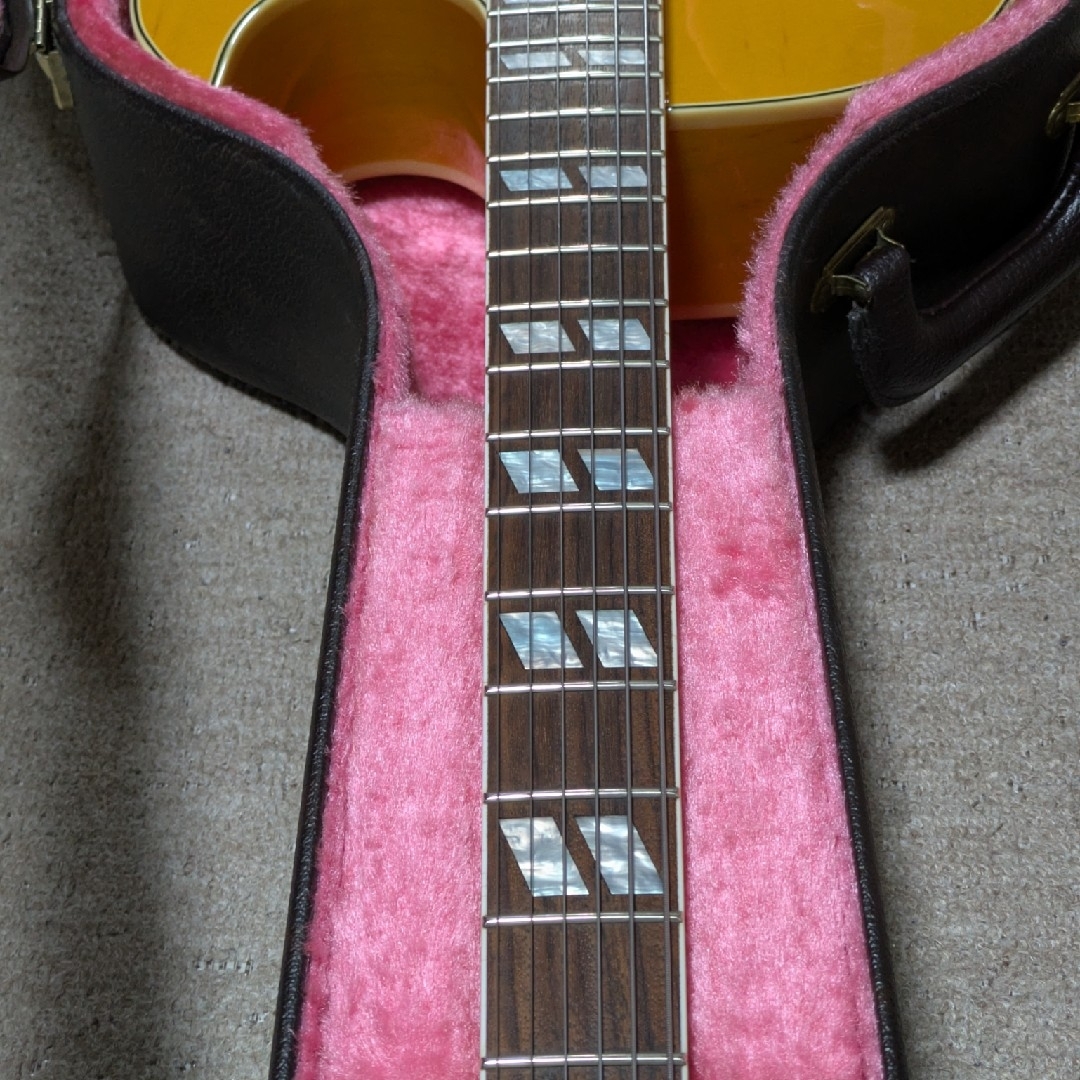 Fernandes - FERNANDES BURNY RFA-65 フルアコ エレキギターの