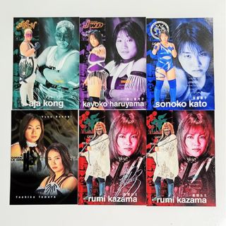 ハドソン(HUDSON)の未来蜂歌留多商会 ハドソン 女子プロレスカード ６枚セット(スポーツ選手)