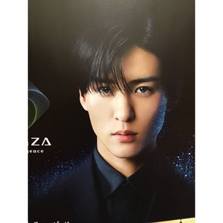 目黒蓮(表紙) ★REGZA期間限定カタログ　★A4サイズ　★新品・非売品(男性タレント)