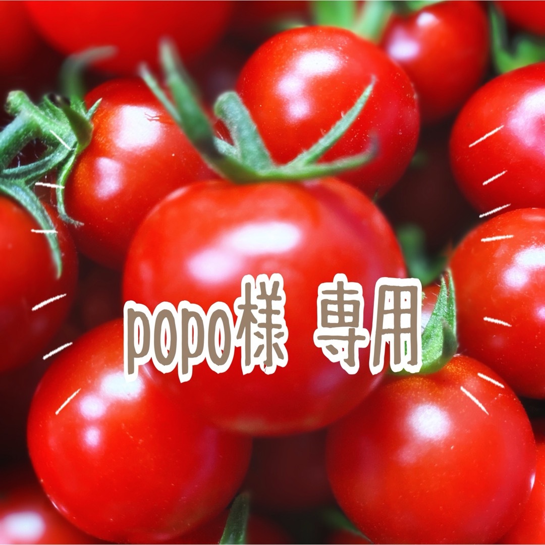 ミニトマト MIX3kg 食品/飲料/酒の食品(野菜)の商品写真