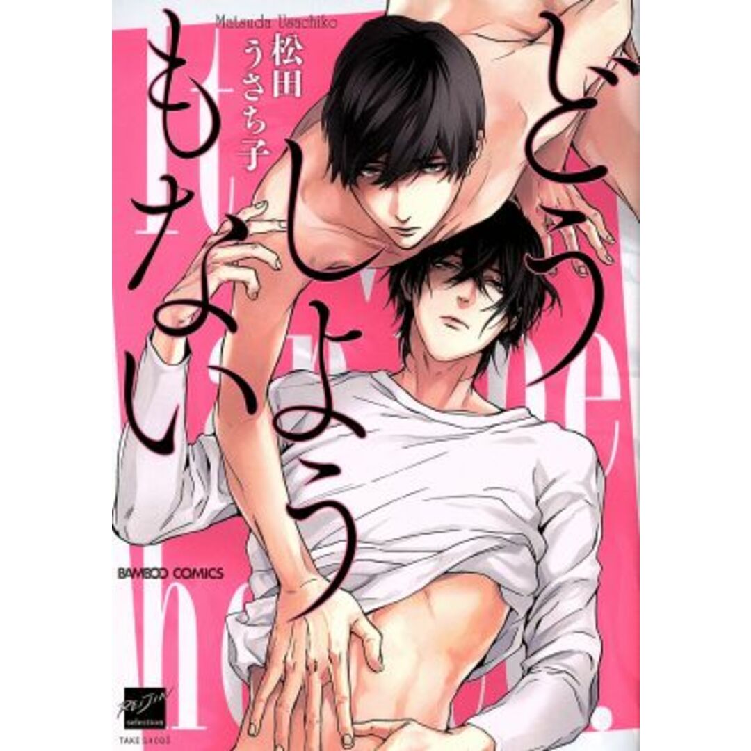 どうしようもない バンブーC麗人セレクション/松田うさち子(著者) エンタメ/ホビーの漫画(ボーイズラブ(BL))の商品写真