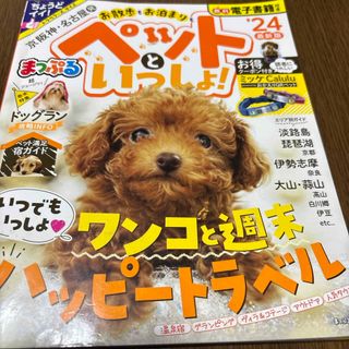 まっぷる京阪神・名古屋発お散歩もお泊まりもペットといっしょ！(趣味/スポーツ)