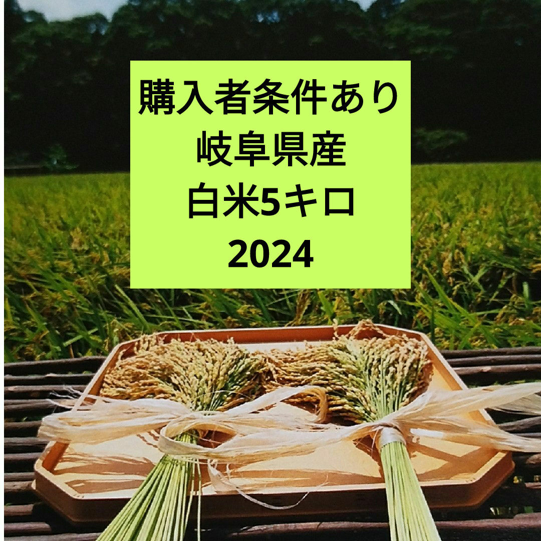 ★購入者条件あり★岐阜県産白米5キロ 食品/飲料/酒の食品(米/穀物)の商品写真