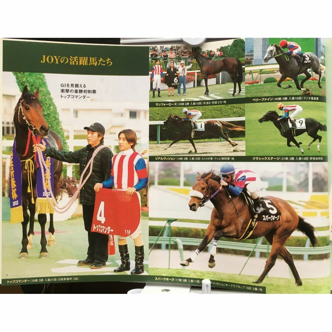 募集馬カタログ：【ＪＯＹサラブレッドクラブ】2003年 １冊 エンタメ/ホビーの雑誌(趣味/スポーツ)の商品写真