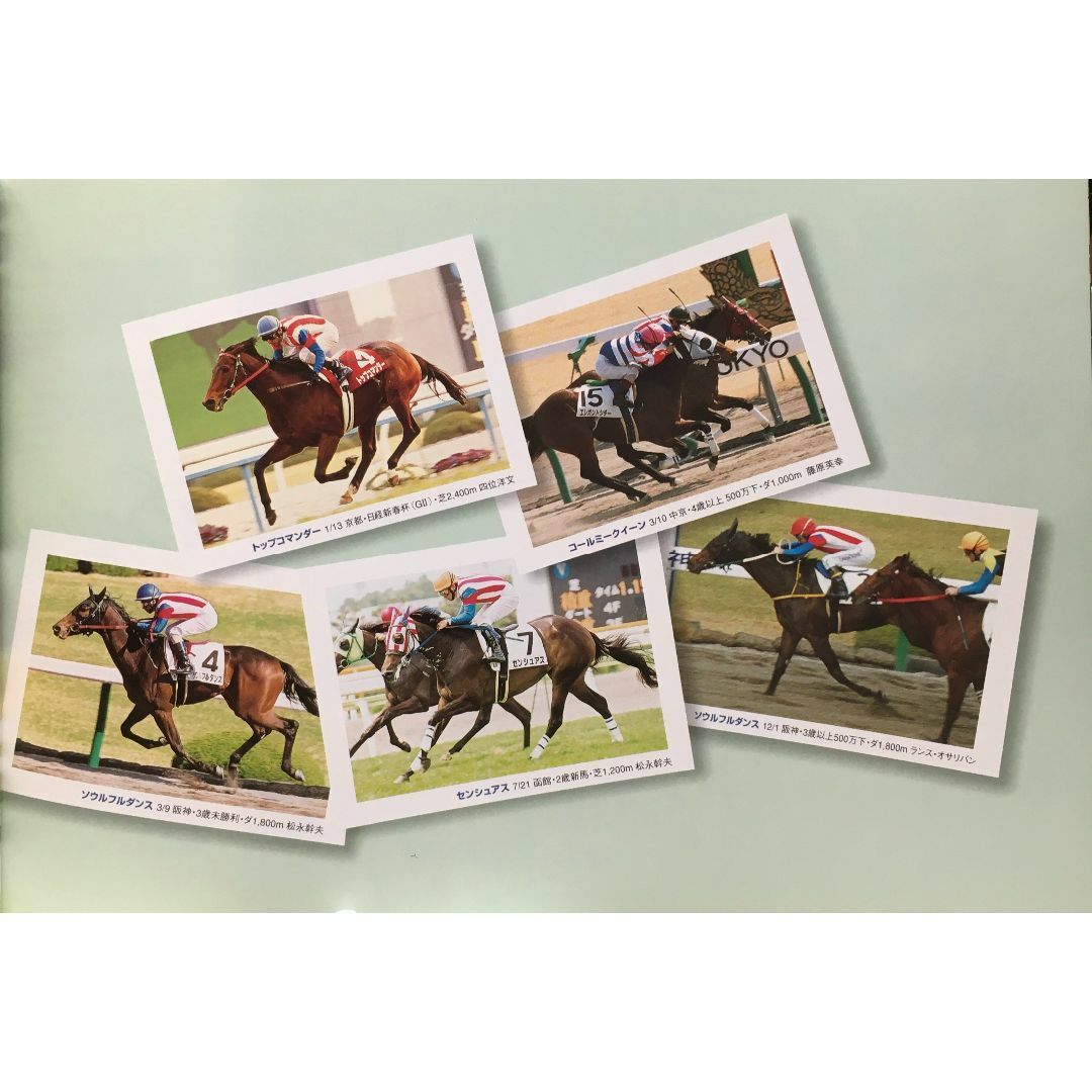 募集馬カタログ：【ＪＯＹサラブレッドクラブ】2003年 １冊 エンタメ/ホビーの雑誌(趣味/スポーツ)の商品写真