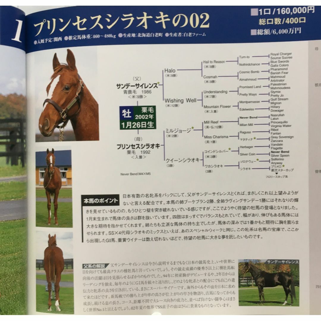 募集馬カタログ：【ＪＯＹサラブレッドクラブ】2003年 １冊 エンタメ/ホビーの雑誌(趣味/スポーツ)の商品写真