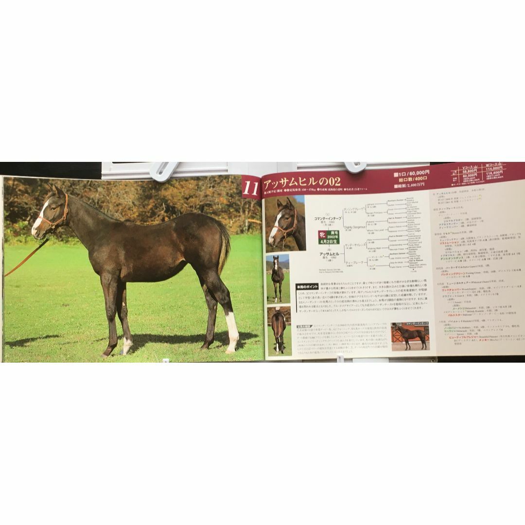 募集馬カタログ：【ＪＯＹサラブレッドクラブ】2003年 １冊 エンタメ/ホビーの雑誌(趣味/スポーツ)の商品写真