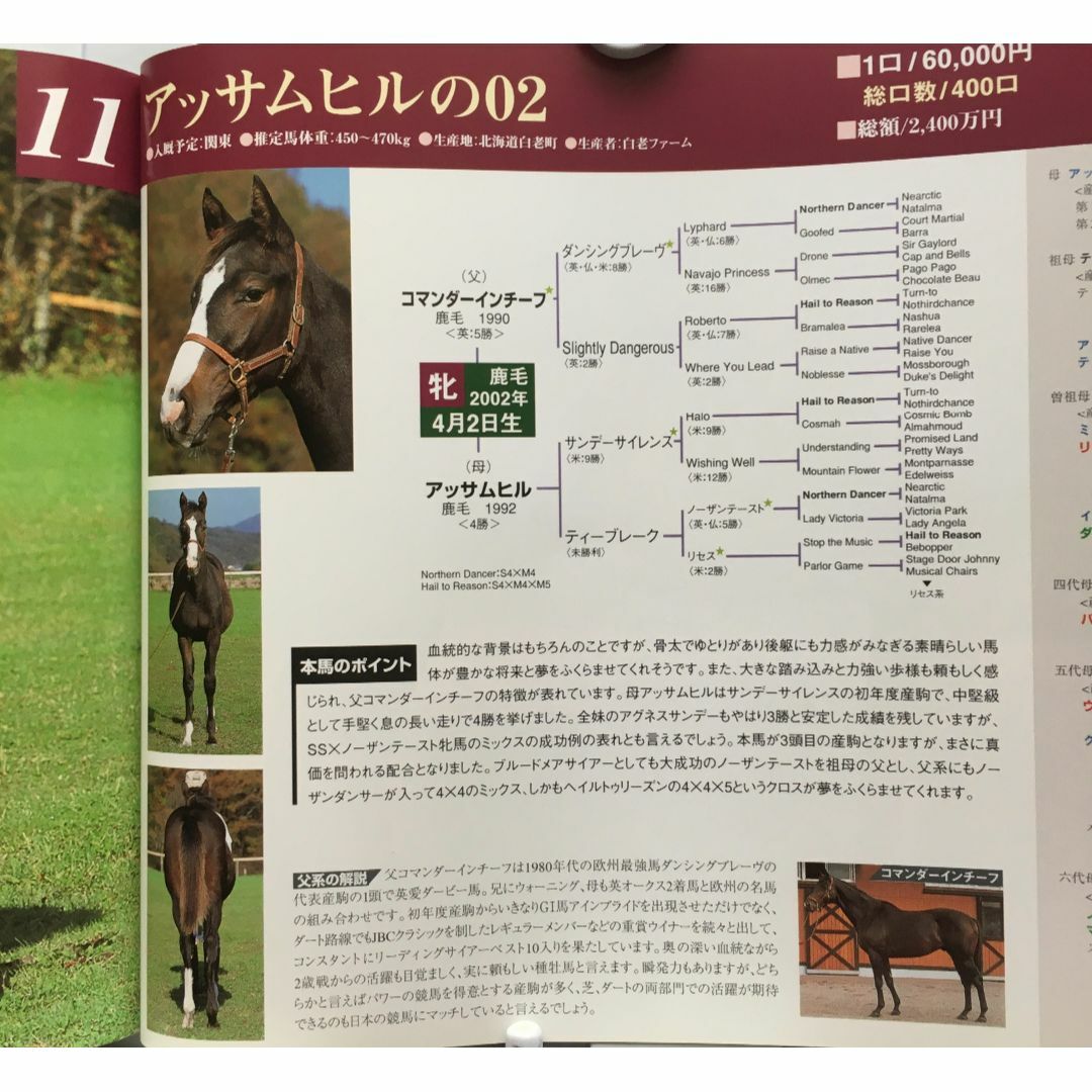 募集馬カタログ：【ＪＯＹサラブレッドクラブ】2003年 １冊 エンタメ/ホビーの雑誌(趣味/スポーツ)の商品写真