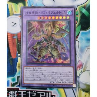 遊戯王カード(シングルカード)