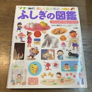 ショウガクカン(小学館)のふしぎの図鑑　小学館の子ども図鑑　プレNEO(絵本/児童書)
